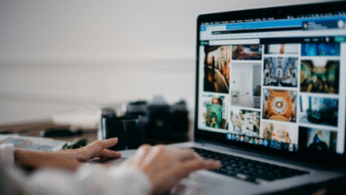 Web Design Services