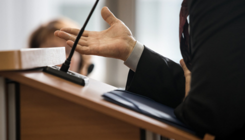 expert witness defenese
