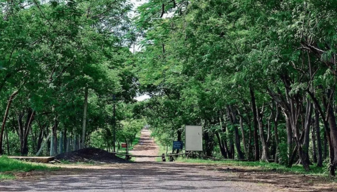 sarkari naukri van vibhag