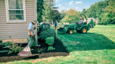 Lawn care companies near me