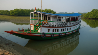 sundarban trip